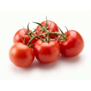 Tros Tomaat
