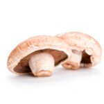 Portabella Champignon