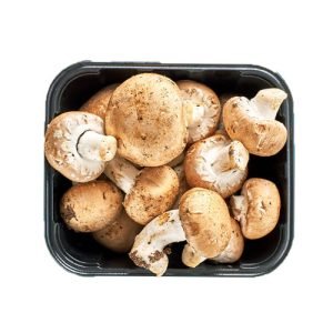 Kastanje Champignon Box