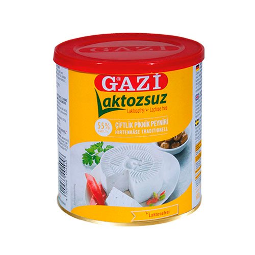 Gazi Lactosevrije Kaas 55%
